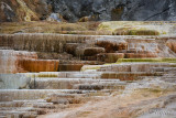 pStryker-yellowstone-mammoth-springs-closeup_0456.jpg