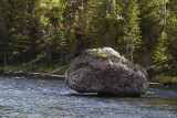 pStryker-yellowstone-river-rock_0384.jpg