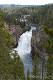 pStryker-yellowstone-upper-falls_9835.jpg