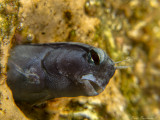 IMG_7045 copy.JPG