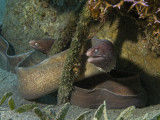 IMG_8629 copy.jpg