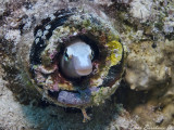IMG_0356 copy.JPG