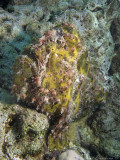 IMG_0758 copy.jpg