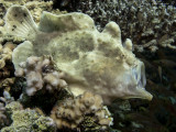 IMG_0767 copy.JPG