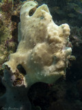 IMG_0873 copy.jpg