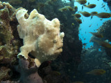 IMG_0874 copy.jpg