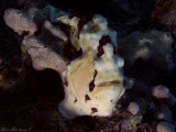 IMG_1221 copy.jpg