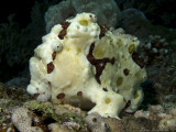 IMG_1229 copy.JPG