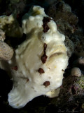 IMG_1244 copy.jpg