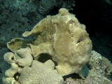 IMG_1309 copy.jpg
