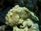 IMG_1312 copy.JPG