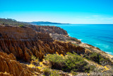 Torrey Pines State Reserve