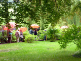 0211 Monets garden in the rain