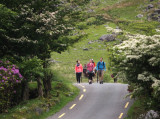 0723: Walkers and Riders on the way to Dunloe Gap