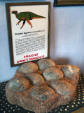 Nest egg for dinosaurs