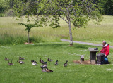 0977: Birr ducks and friend