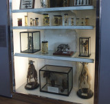 1213: Odd things in jars