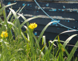 If you look hard, you will find beauty everywhere