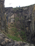 Cliff Edge