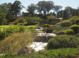 The stream through the garden