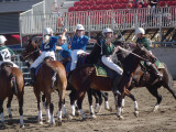 Polo - 4