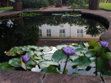 0685: Courtyard, Victoria Falls Hotel