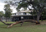 0727: Hwange Safari Lodge, Zimbabwe