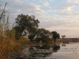 z4251761.jpg