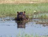 z4251464.jpg