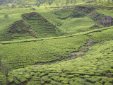 z9055485.jpg