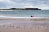 Late afternoon, Deewhy Beach