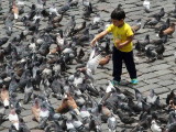 0048: Boy, bread, pigeons