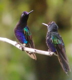 z9271577.JPG
