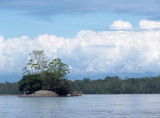 Napo River, Ecuador
