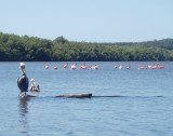 Laguna Guanaroca, Cuba