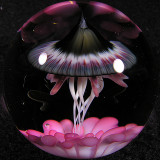 Jelly of My Jelly Size: 1.49 Price: SOLD