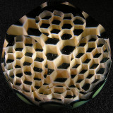 Joe Peters and Raj Kommineni: Fractal Slymecomb Size: 2.50 Price: SOLD 
