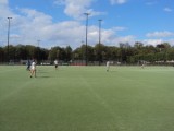 DSC01453.jpg