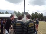 DSC01620.jpg
