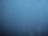 DSC02475.jpg