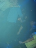 DSC02482.jpg