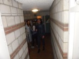 DSC00346.jpg