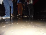 DSC00693.jpg