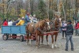 DSC01463-copy.jpg