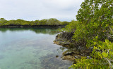 Cocha de Perla.Isabela island