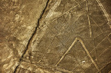 Arana Spider .Nazca lines