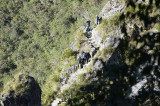 first group climb Huayna Picchu at 7:00am