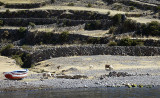 Amantani island.Titicaca lake