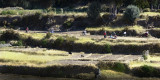 Amantani island landscape