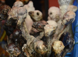 Bolivia Witches market . La Paz